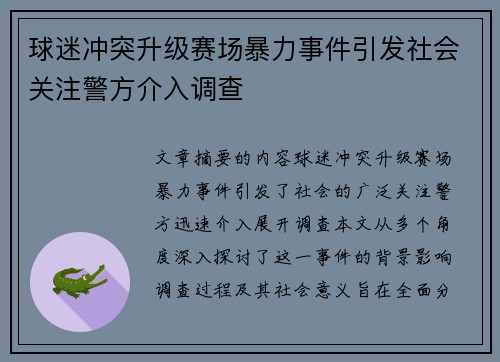 球迷冲突升级赛场暴力事件引发社会关注警方介入调查